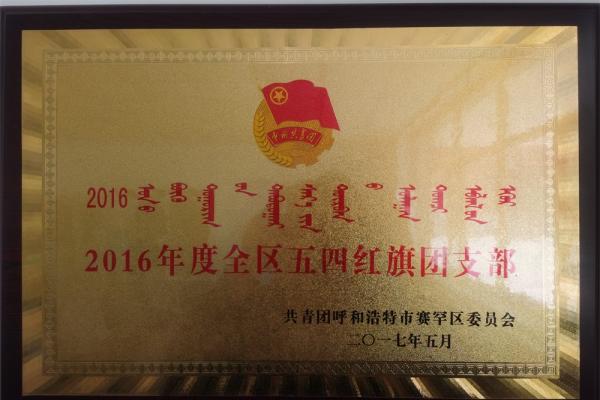 2016年度全區(qū)五四紅旗團支部